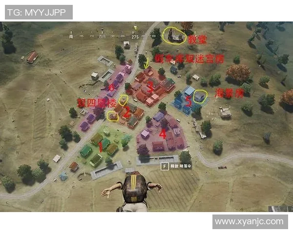 北京篮球队技术解析：从战术布局到球员配合的全面探讨