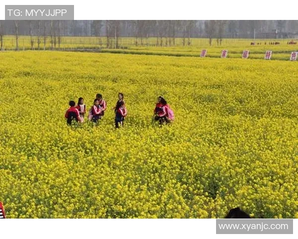 新疆足球明星法特的传奇之路与对家乡的热爱与贡献 新疆足球明星法特的传奇之路与对家乡的热爱与贡献